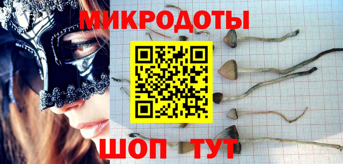 Псилоцибиновые грибы прущие грибы Артёмовский